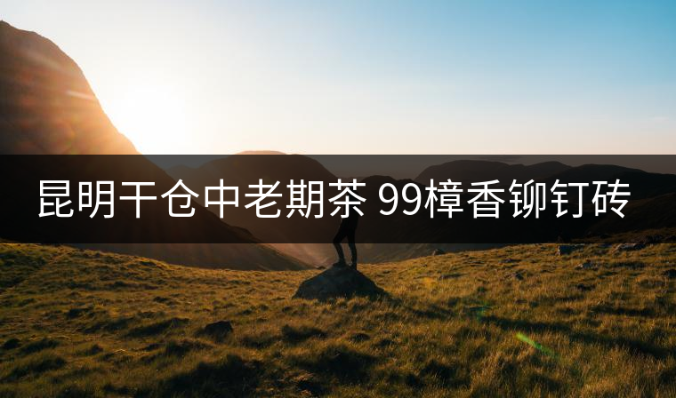 昆明干倉中老期茶 99樟香鉚釘磚 致敬時(shí)光的力量 昆明干倉中老期茶 99樟香鉚釘磚 致敬時(shí)光的力量