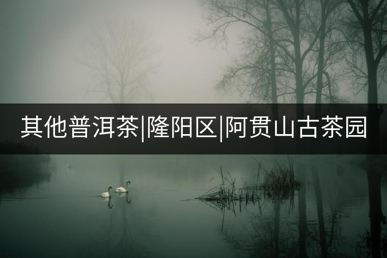 其他普洱茶|隆陽區(qū)|阿貫山古茶園 其他普洱茶|隆陽區(qū)|阿貫山古茶園