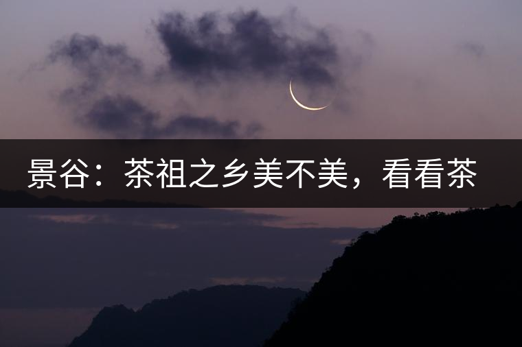 景谷：茶祖之鄉(xiāng)美不美，看看茶山和美人