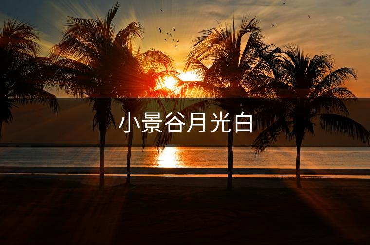 小景谷月光白 小景谷月光白