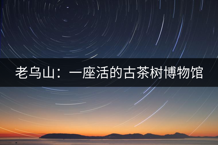 老烏山:一座活的古茶樹(shù)博物館 老烏山:一座活的古茶樹(shù)博物館