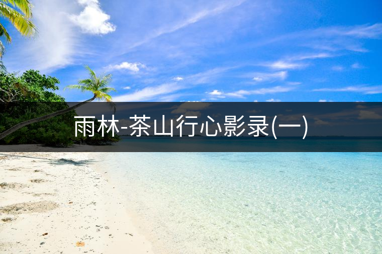 雨林-茶山行心影錄(一) 雨林-茶山行心影錄(一)