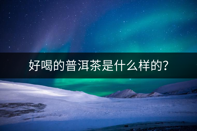 好喝的普洱茶是什么樣的？