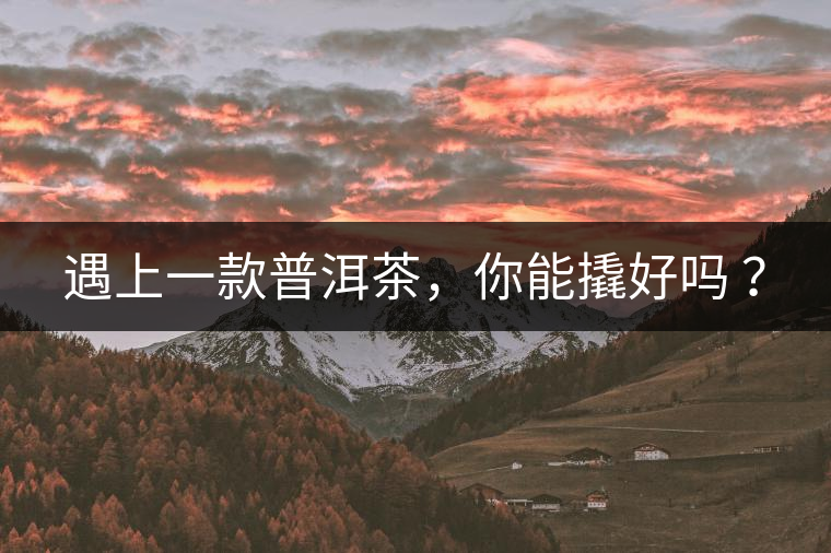 遇上一款普洱茶，你能撬好嗎 ？