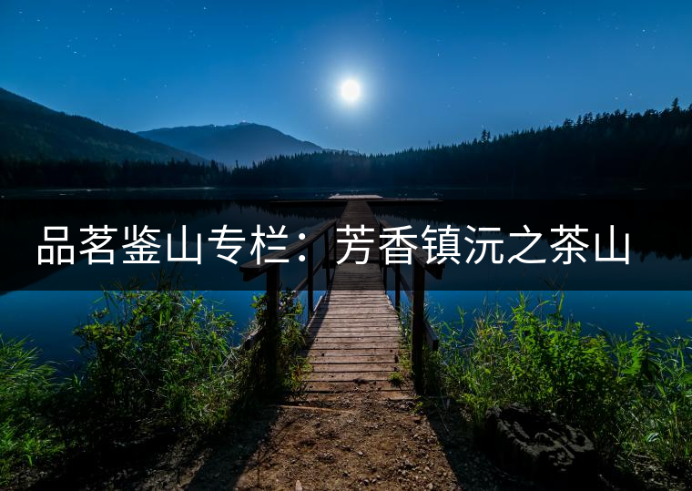 品茗鑒山專欄：芳香鎮(zhèn)沅之茶山箐