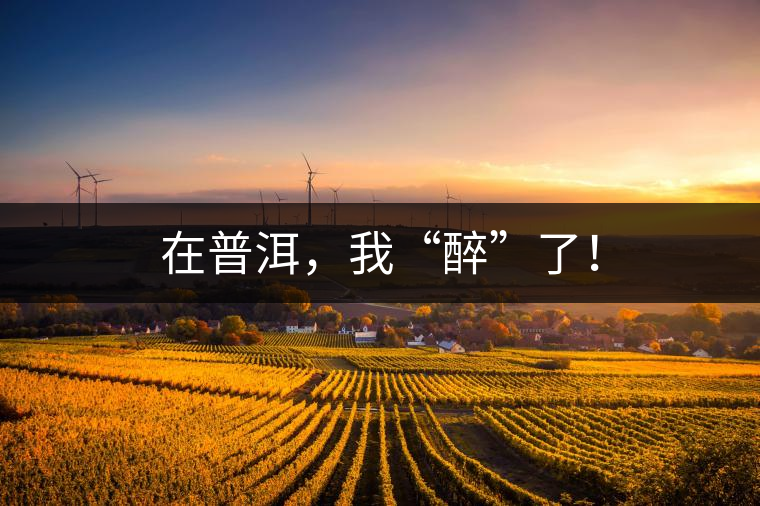 在普洱，我“醉”了！