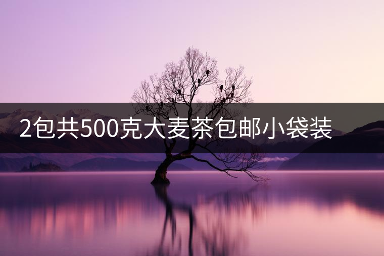 2包共500克大麥茶包郵小袋裝濃香型飯店專用茶包葉飲料小包裝原味 2包共500克大麥茶包郵小袋裝濃香型飯店專用茶包葉飲料小包裝原味
