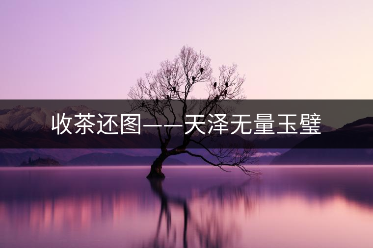 收茶還圖——天澤無(wú)量玉璧