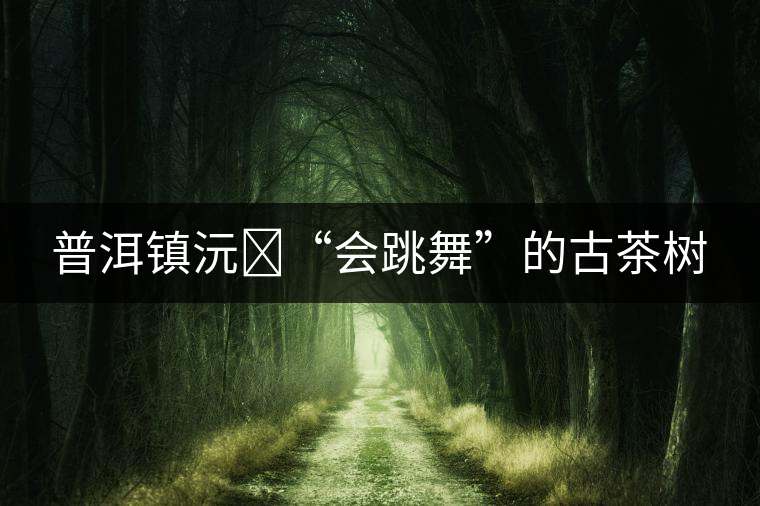 普洱鎮(zhèn)沅?“會(huì)跳舞”的古茶樹(shù)