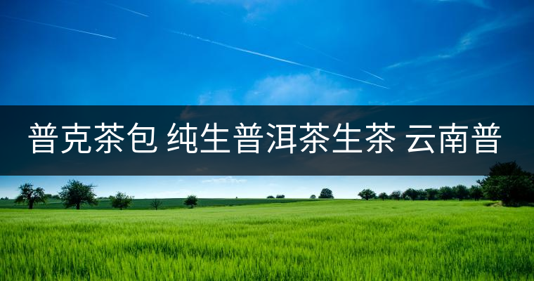 普克茶包 純生普洱茶生茶 云南普洱茶葉袋泡茶小沱茶50g 普克茶包 純生普洱茶生茶 云南普洱茶葉袋泡茶小沱茶50g