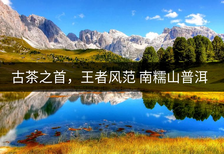 古茶之首，王者風(fēng)范 南糯山普洱茶