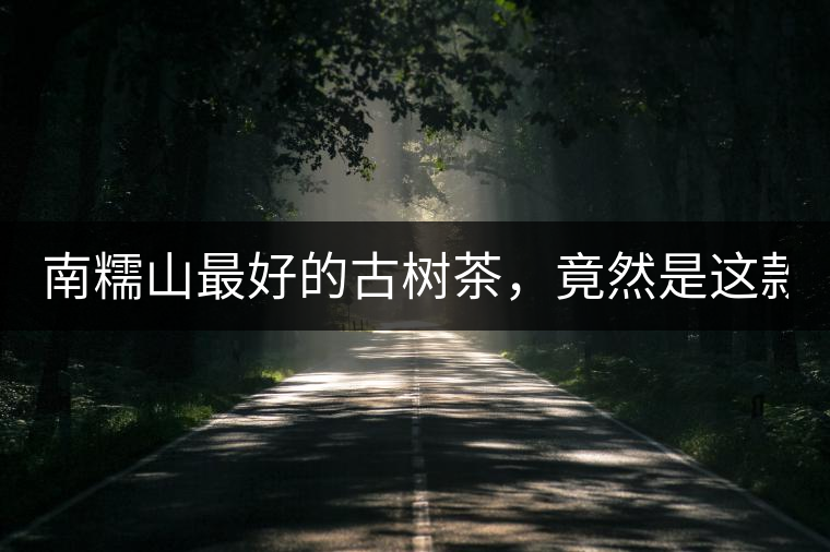 南糯山最好的古樹茶，竟然是這款！