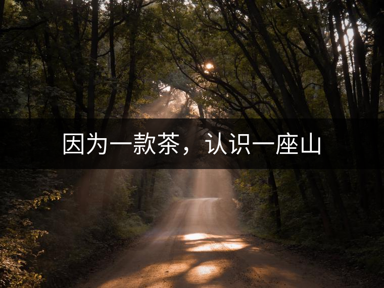 因為一款茶，認識一座山