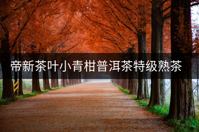 帝新茶葉小青柑普洱茶特級熟茶生曬正宗新會陳皮柑普茶桔普茶罐裝 帝新茶葉小青柑普洱茶特級熟茶生曬正宗新會陳皮柑普茶桔普茶罐裝