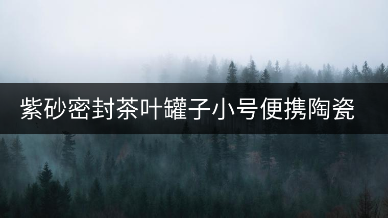 紫砂密封茶葉罐子小號(hào)便攜陶瓷儲(chǔ)存茶罐家用防潮普洱茶收納盒禮盒 紫砂密封茶葉罐子小號(hào)便攜陶瓷儲(chǔ)存茶罐家用防潮普洱茶收納盒禮盒