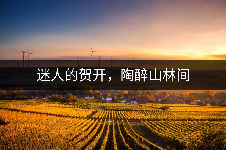 迷人的賀開，陶醉山林間