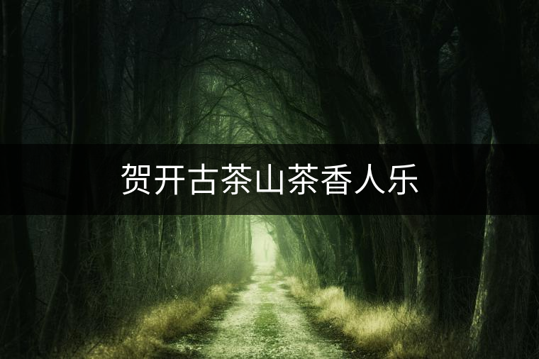 賀開古茶山茶香人樂(lè) 賀開古茶山茶香人樂(lè)