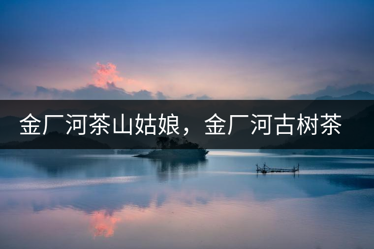 金廠河茶山姑娘，金廠河古樹茶特點(diǎn)與價格