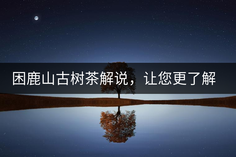 困鹿山古樹(shù)茶解說(shuō)，讓您更了解古樹(shù)貢茶