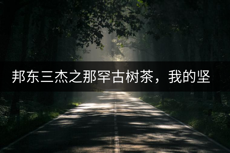 邦東三杰之那罕古樹茶，我的堅持