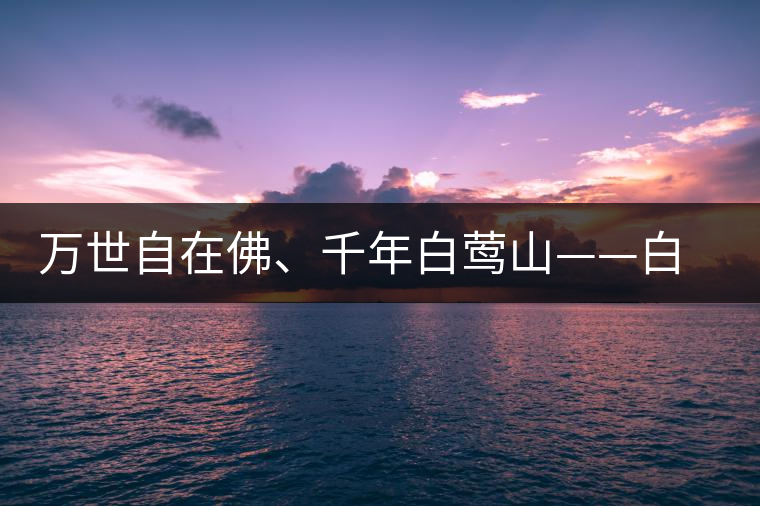 萬世自在佛、千年白鶯山——白鶯山古樹茶特點(diǎn)