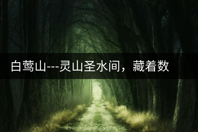 白鶯山---靈山圣水間,藏著數(shù)不盡的佛茶佳話 白鶯山---靈山圣水間,藏著數(shù)不盡的佛茶佳話