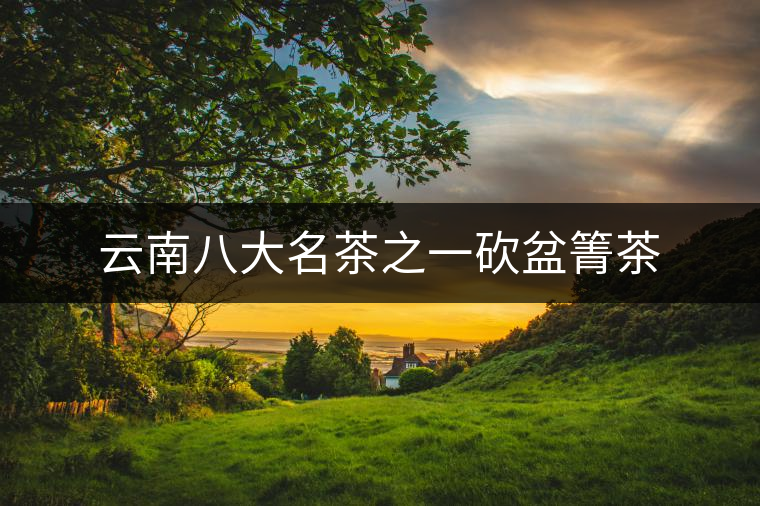 云南八大名茶之一砍盆箐茶 云南八大名茶之一砍盆箐茶