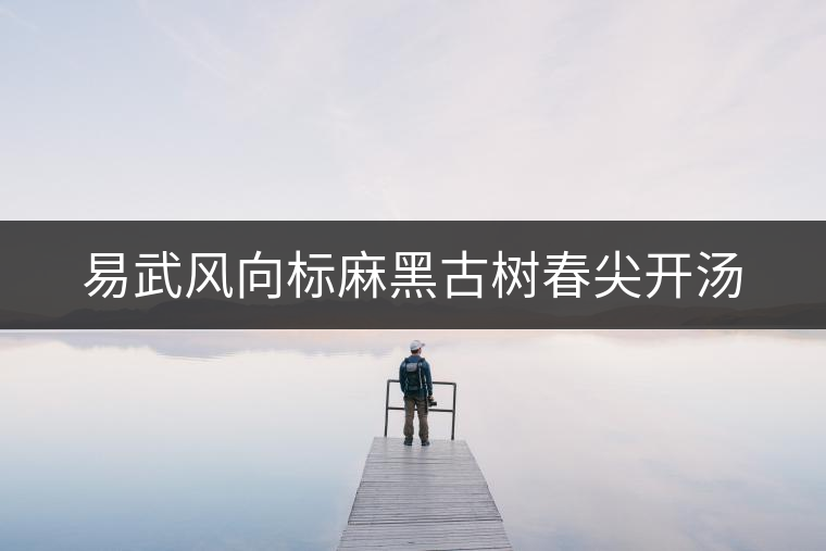 易武風(fēng)向標(biāo)麻黑古樹春尖開湯 易武風(fēng)向標(biāo)麻黑古樹春尖開湯