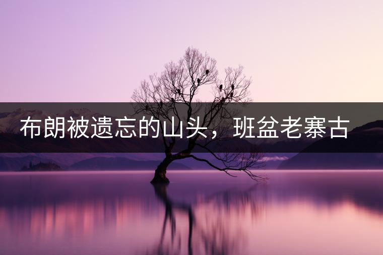 布朗被遺忘的山頭，班盆老寨古茶園介紹