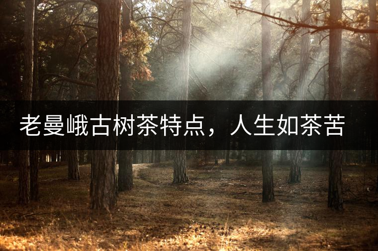 老曼峨古樹茶特點(diǎn)，人生如茶苦盡甘來