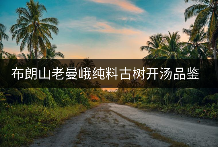 布朗山老曼峨純料古樹開湯品鑒特點介紹