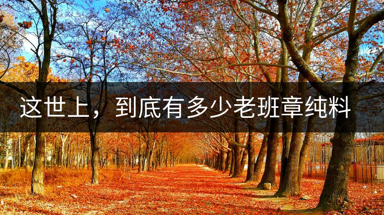 這世上，到底有多少老班章純料古樹(shù)茶