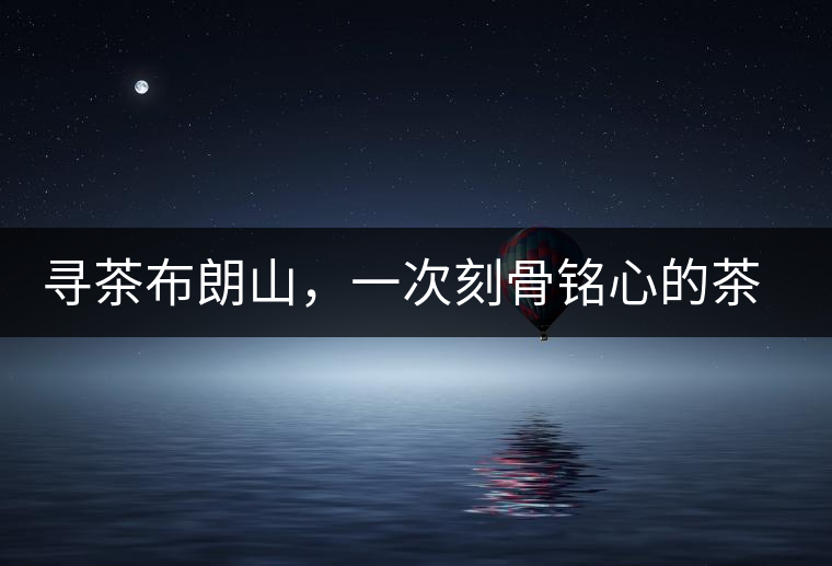 尋茶布朗山，一次刻骨銘心的茶山行