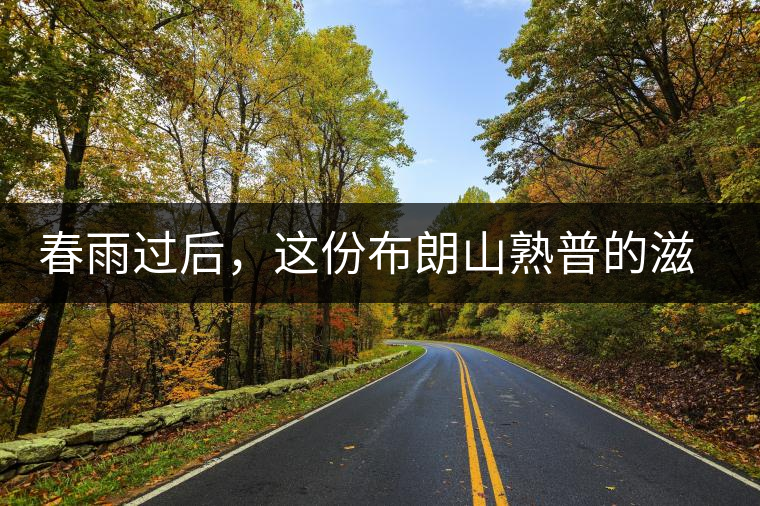 春雨過后，這份布朗山熟普的滋味正當(dāng)時