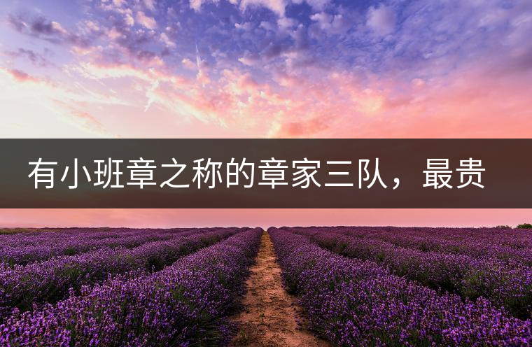 有小班章之稱的章家三隊，最貴的小樹茶