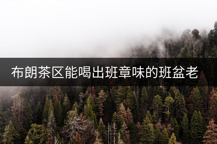 布朗茶區(qū)能喝出班章味的班盆老寨你知道嗎？