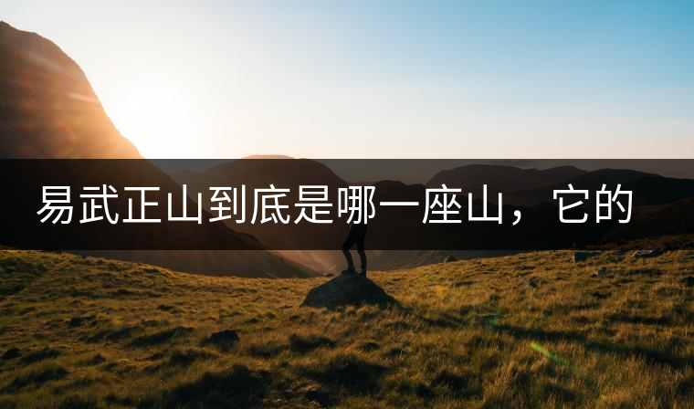 易武正山到底是哪一座山，它的含義你了解嗎？