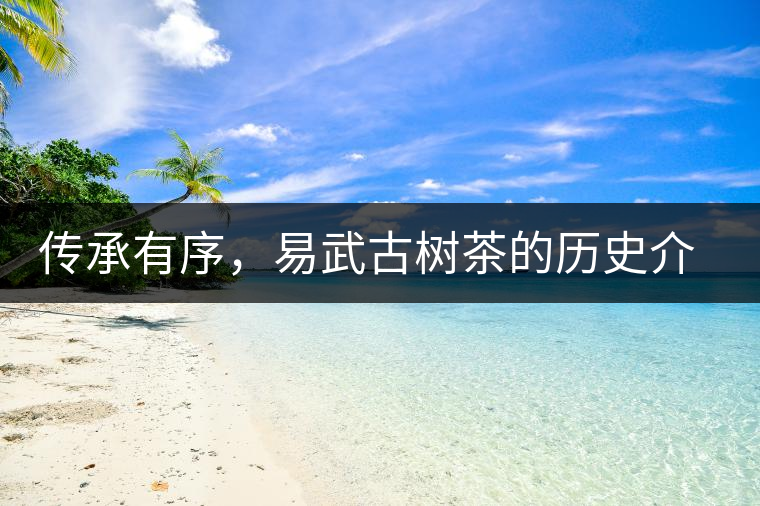 傳承有序，易武古樹茶的歷史介紹