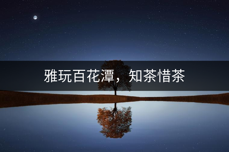 雅玩百花潭，知茶惜茶