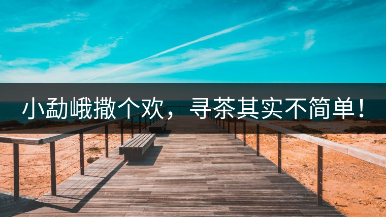 小勐峨撒個歡，尋茶其實不簡單！