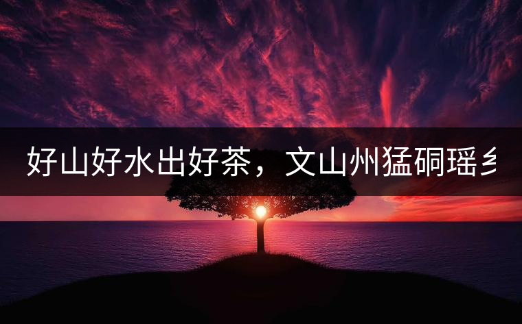 好山好水出好茶，文山州猛硐瑤鄉(xiāng)茶！