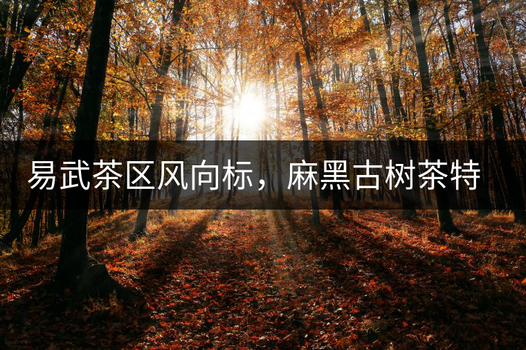 易武茶區(qū)風(fēng)向標(biāo)，麻黑古樹茶特點(diǎn)介紹