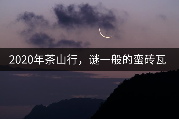 2020年茶山行，謎一般的蠻磚瓦竜古茶山