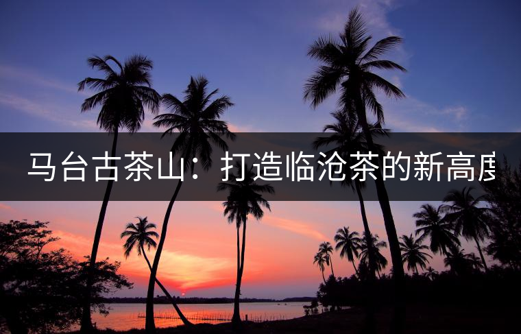 馬臺古茶山：打造臨滄茶的新高度？