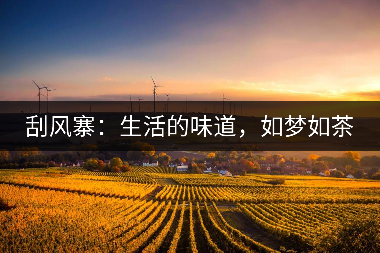 刮風(fēng)寨：生活的味道，如夢如茶