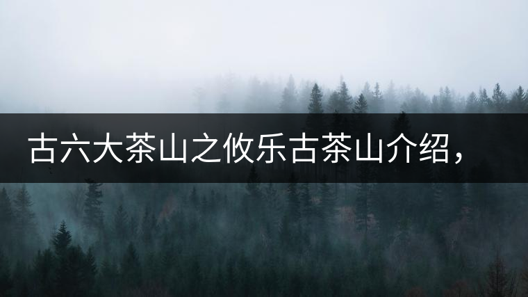 古六大茶山之攸樂古茶山介紹，攸樂古樹茶口感特點(diǎn)