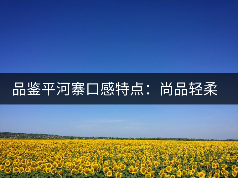 品鑒平河寨口感特點(diǎn)：尚品輕柔，清涼獨(dú)特