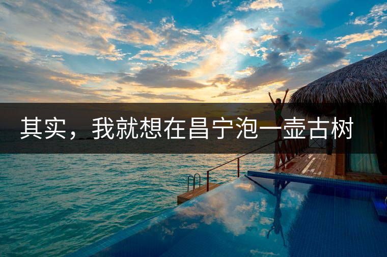 其實(shí)，我就想在昌寧泡一壺古樹(shù)茶