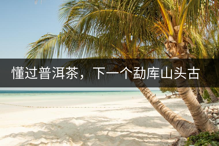 懂過普洱茶，下一個勐庫山頭古純的引爆點(diǎn)