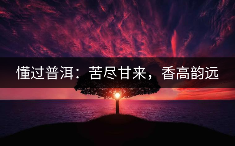 懂過(guò)普洱：苦盡甘來(lái)，香高韻遠(yuǎn)